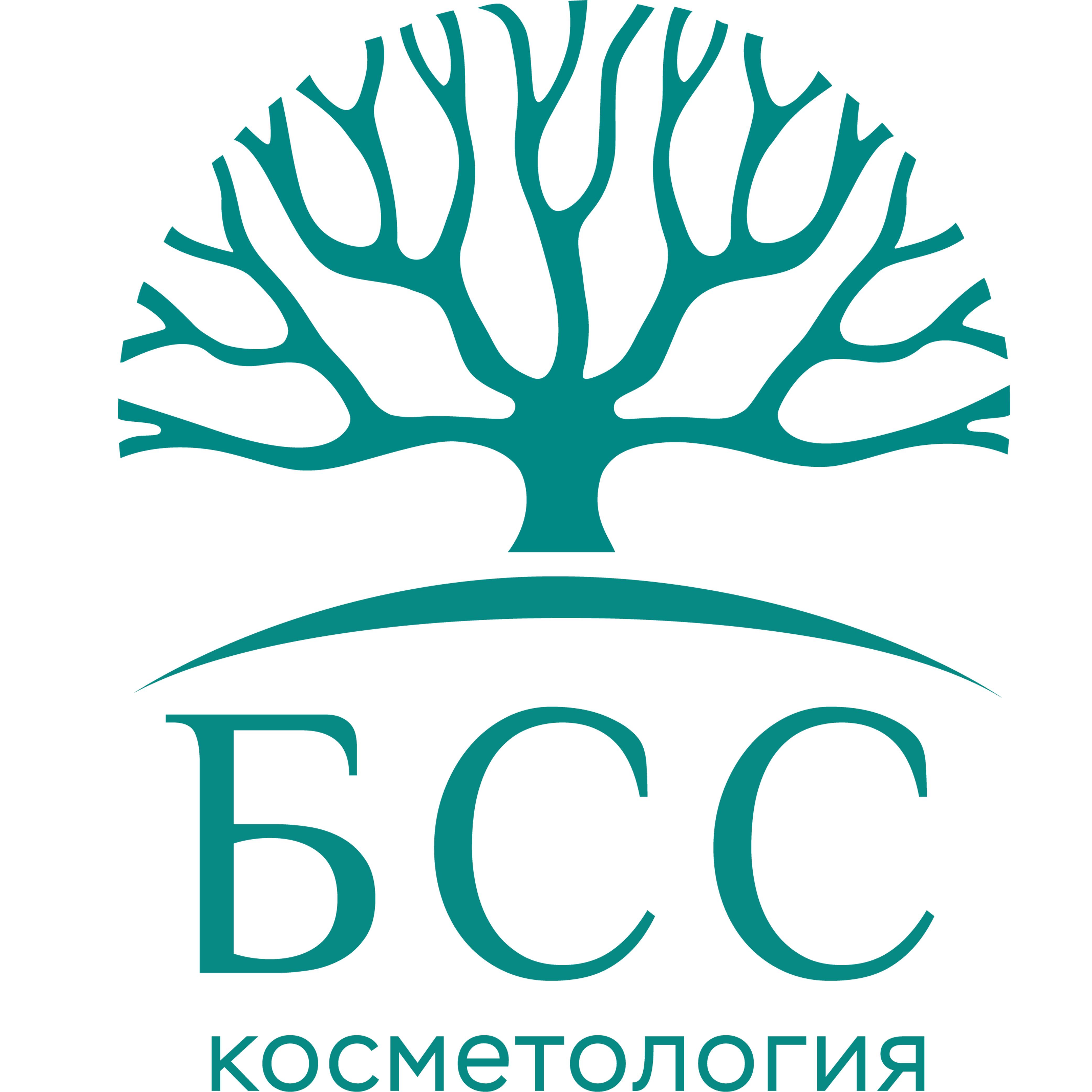 БСС